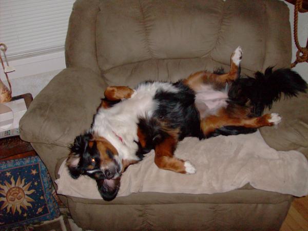 I love this chair