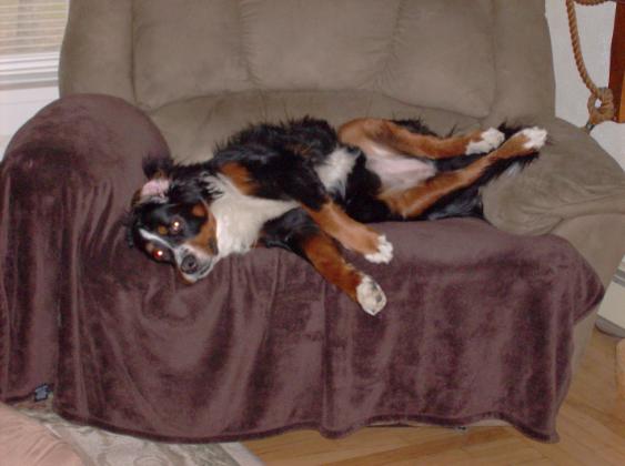 This is my chair