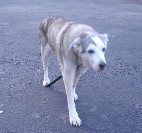 Getting Stronger Everyday!